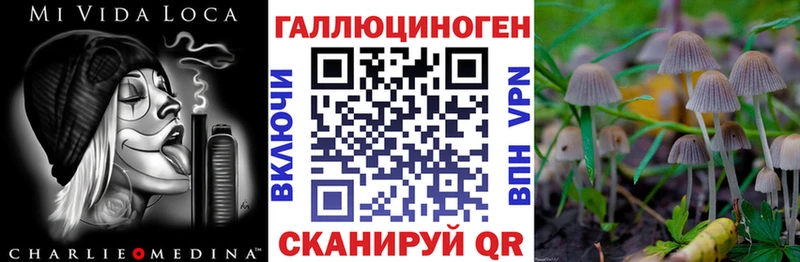 Купить где  Цоци-Юрт  Псилоцибиновые грибы мухоморы 